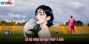 Cá Độ Bóng Đá Hợp Pháp Ở Đâu? Cách Nhận Diện Nền Tảng Uy Tín