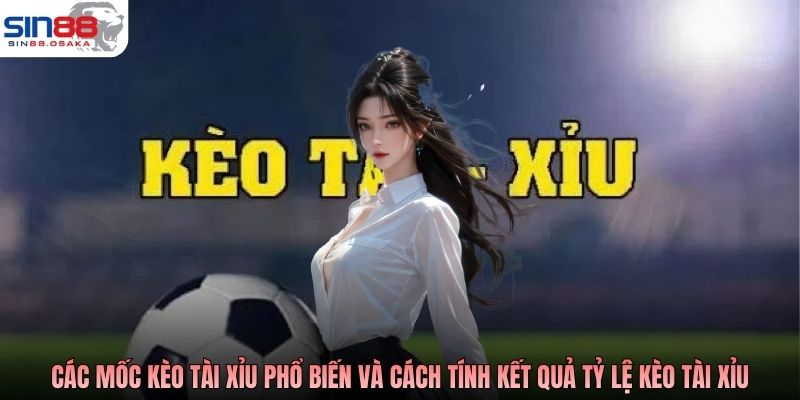 Các mốc kèo tài xỉu phổ biến và cách tính kết quả tỷ lệ kèo tài xỉu