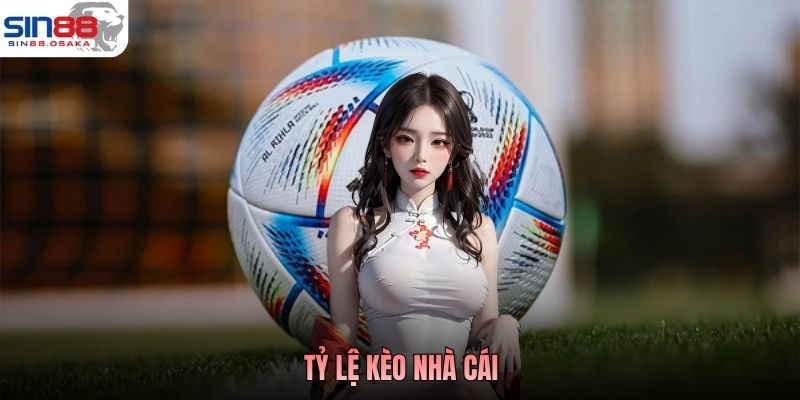 Tổng quan thông tin về điều khoản sử dụng Sin88