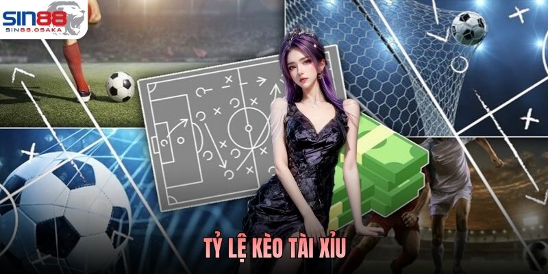 Tỷ Lệ Kèo Tài Xỉu - Kinh Nghiệm Chơi Hiệu Quả Cho Người Mới